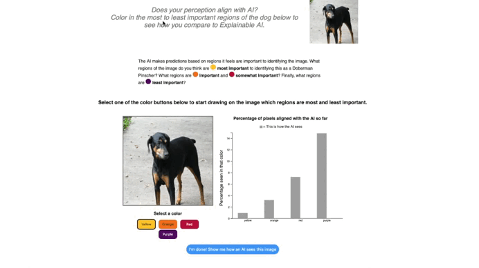Animated walkthrough of the Human-XAI perception tool