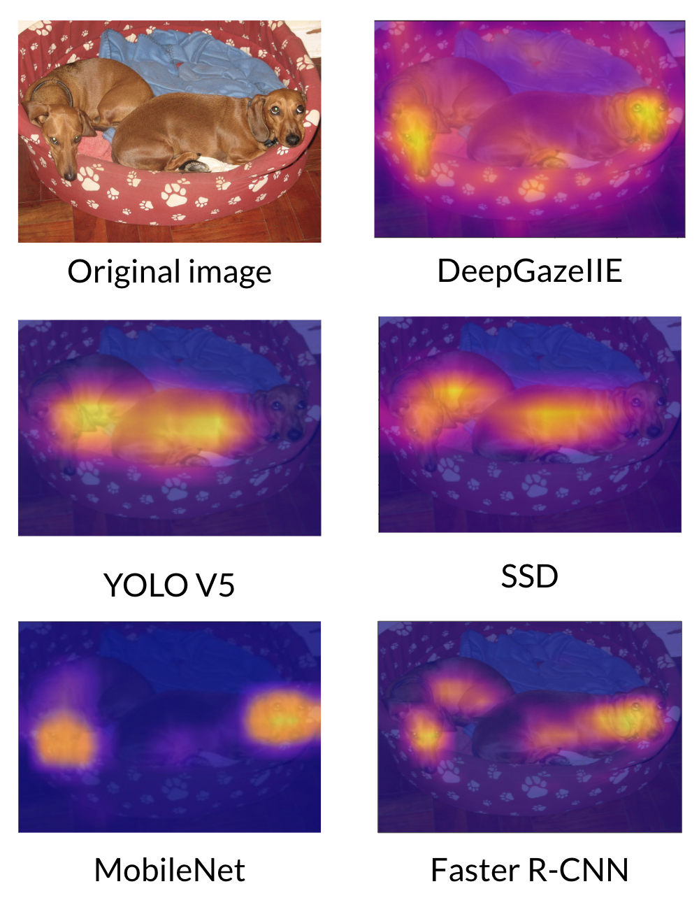 visualization of sample saliency maps.
